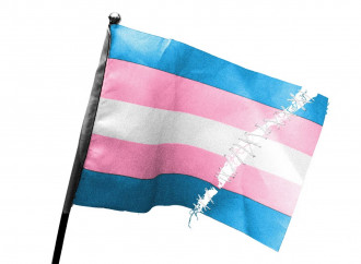 Detransitioner all'esame del NHS