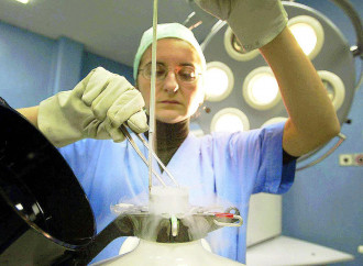 Consulta: no a fecondazione artificiale per coppie gay