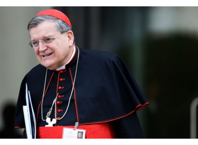Il cardinale Burke Il cardinale Burke