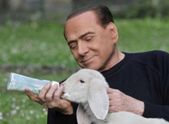 Animali con diritti, i feti no. L'ultima rivoluzione