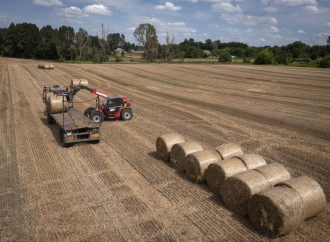 L’agricoltura ucraina: dai kolchoz agli oligarchi del grano