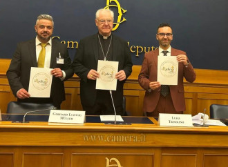 Il cardinal Muller e l'ideologia gender