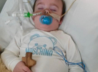 Alfie è martire, ma il suo sangue non va sprecato