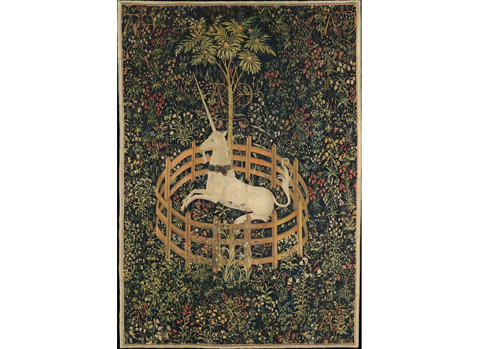 Unicorno Unicorno