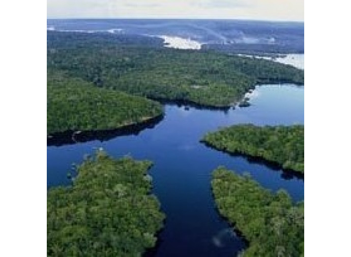 Amazzonia