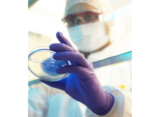 Embrioni cavie genetiche: un rischio troppo alto