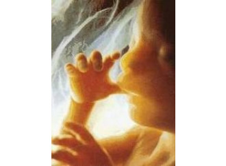 Bioetica: legge e cultura
devono andare a braccetto