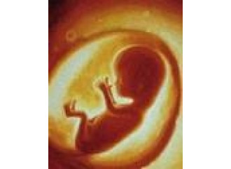 Si parla di donne e medici ma nell'aborto il tema è il bambino