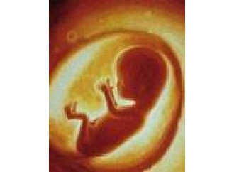 La vita è un dono, va rispettata