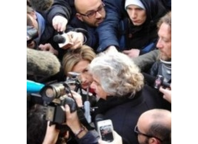 Grillo Grillo