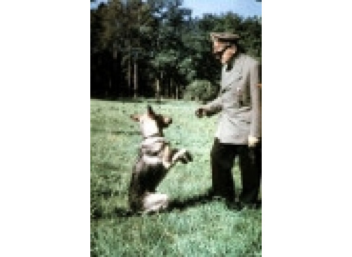 Hitler con la sua fedele cagna