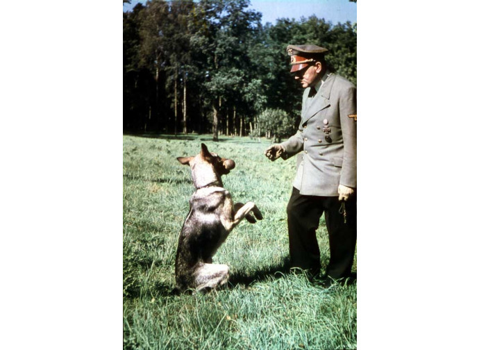 Hitler e la sua cagna Blondi