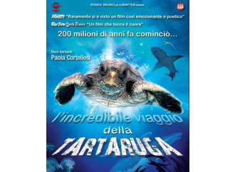 Maratone: le tartarughe e Hitchcock