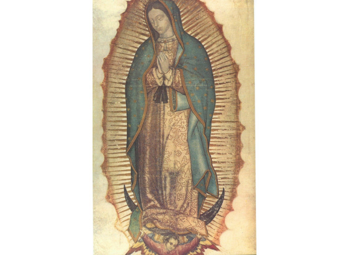 Vergine di Guadalupe Vergine di Guadalupe