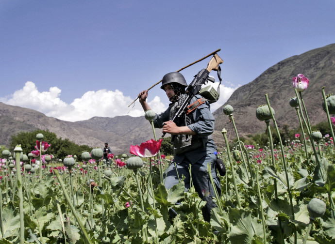 Afghanistan 2013, guerra all'oppio (La Presse)