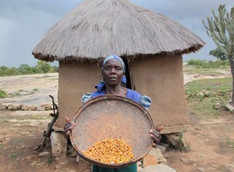 Tre quarti degli africani non si possono permettere una dieta sana