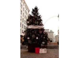 Alberi con le palle e catechismo ignorato