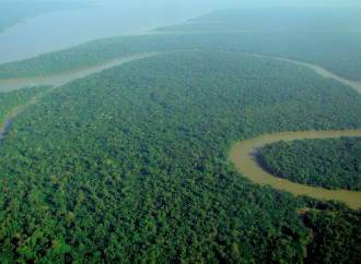L'Amazzonia non è il "polmone verde". Né un paradiso.