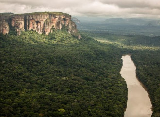 Ecco perché l’Amazzonia è un territorio di morte