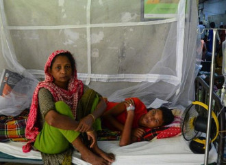 Una epidemia di dengue sta creando panico in Bangladesh