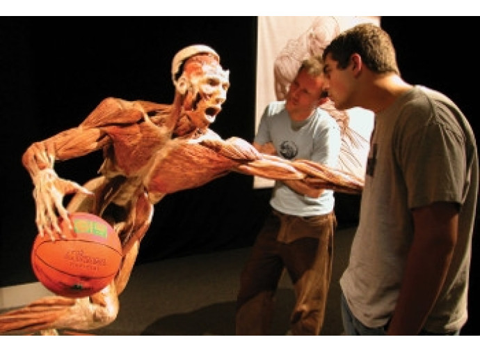 Body Worlds