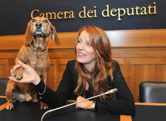 "Un animale candidato" e la Brambilla supera Caligola