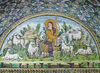 San Giulio, la cura delle pecore viene prima di tutto