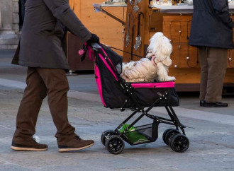 Il mondo verso la catastrofe demografica