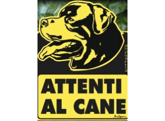 Cani, gatti e canarini: la "classe animale" va in paradiso