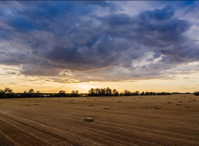 Campi coltivati in Polonia