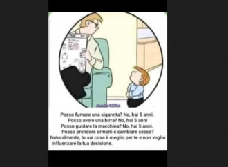 La vignetta