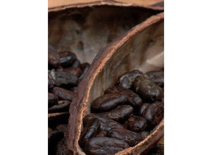 Fave di cacao Fave di cacao