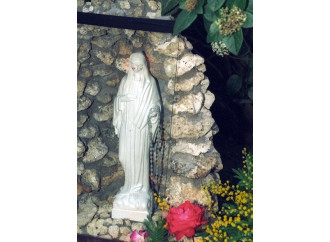 Una rosa unisce
Civitavecchia
a Medjugorje