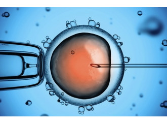 Ecco l’eugenetica per via giudiziaria