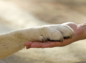 Io sono cane. Possibile, ora che è accettato il transessualismo