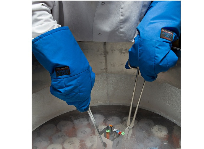 Foto (ritaglio) USDA Gene Bank - CC0 via Wikipedia