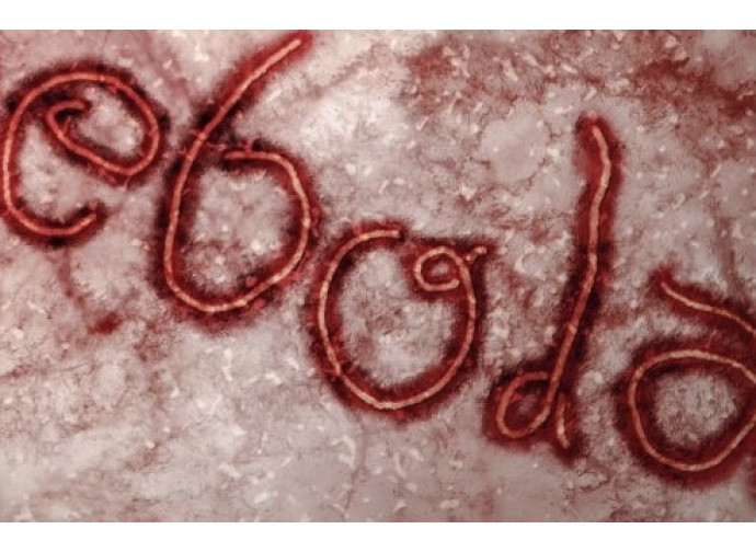 In Liberia sconfitta l'epidemia di Ebola In Liberia sconfitta l'epidemia di Ebola