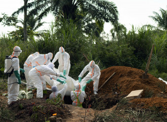 Altro che Covid. In Africa la vera emergenza è Ebola