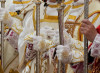 Il Papa riconosciuto e l’autorità respinta. Replica a don Daniele Di Sorco