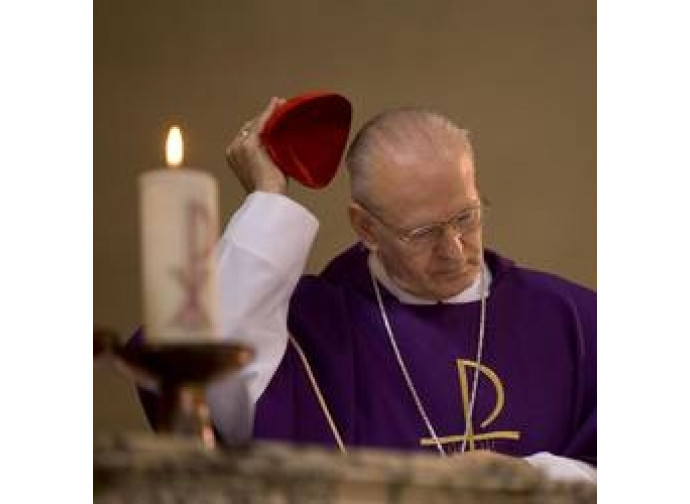 Mons. Erdo Mons. Erdo
