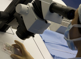 Un rimborso per chi "dona" gameti: è il reddito di fertilità