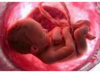 Salvano bambini dall’aborto: rischiano multe da 20 milioni di dollari