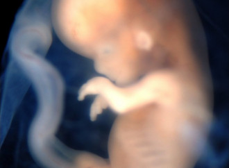 Usa, basta fondi pubblici alla ricerca che usa i feti