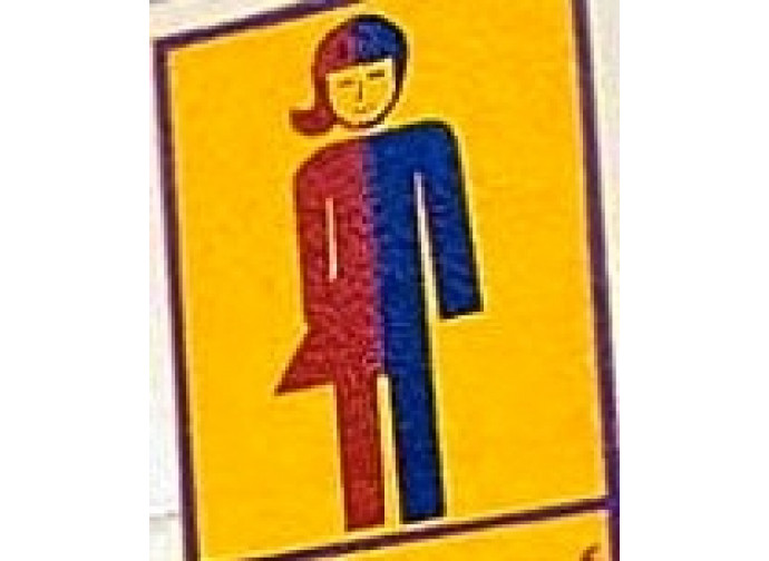 Come difendersi dall'imposizione dell'educazione gender a scuola? Come difendersi dall'imposizione dell'educazione gender a scuola?