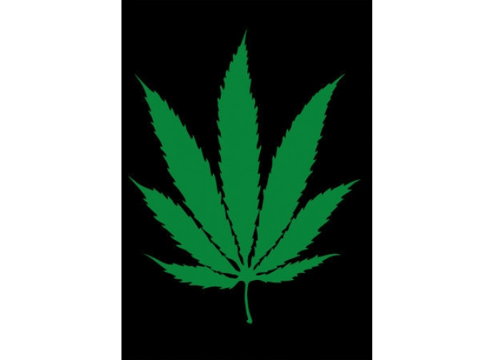 maijuana maijuana