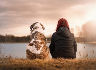 Diritti soggettivi ai cani: il best interest si fa diritto