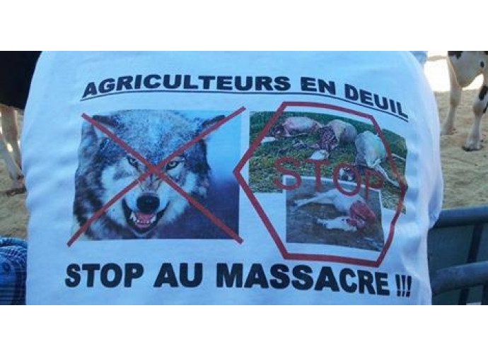 Protesta dei pastori francesi a Gap Protesta dei pastori francesi a Gap