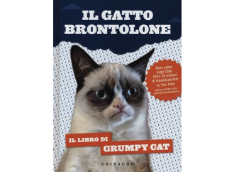 Grumpy, il gatto brontolone che ci assomiglia troppo
