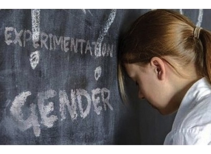 L'ideologia gender genera mostri L'ideologia gender genera mostri