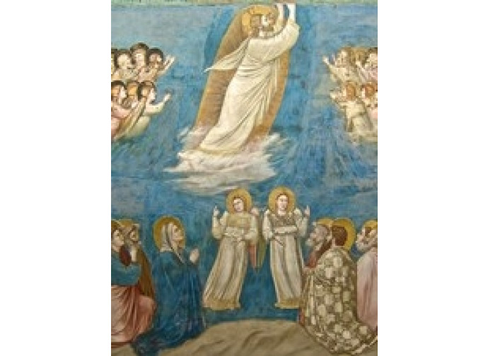 Giotto Giotto